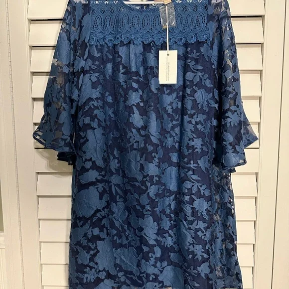 blue ivy's grammy dress Charlotte 3/4 Sleeve Lace Print Dress – Hinson Wu
